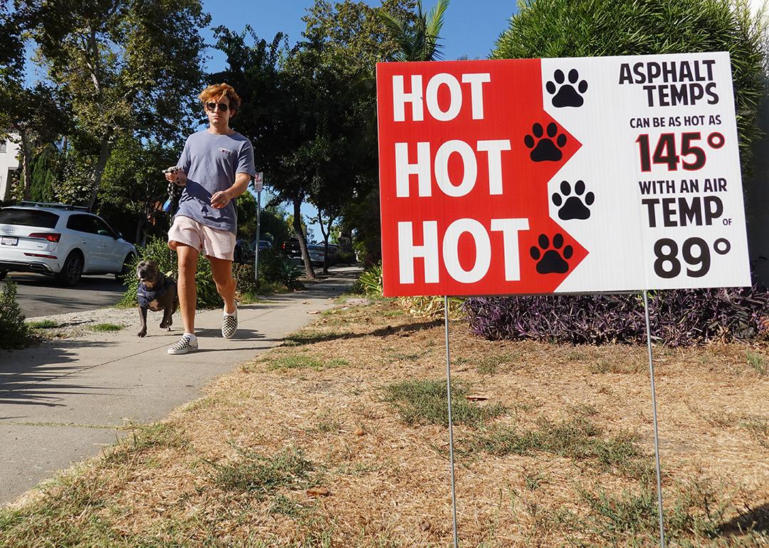 A person walks their dog in the morning when temperatures climb.