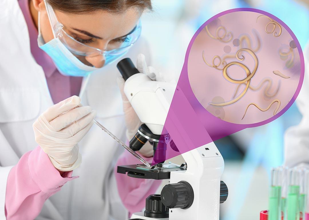 Laboratory worker using modern microscope to examine helminths.