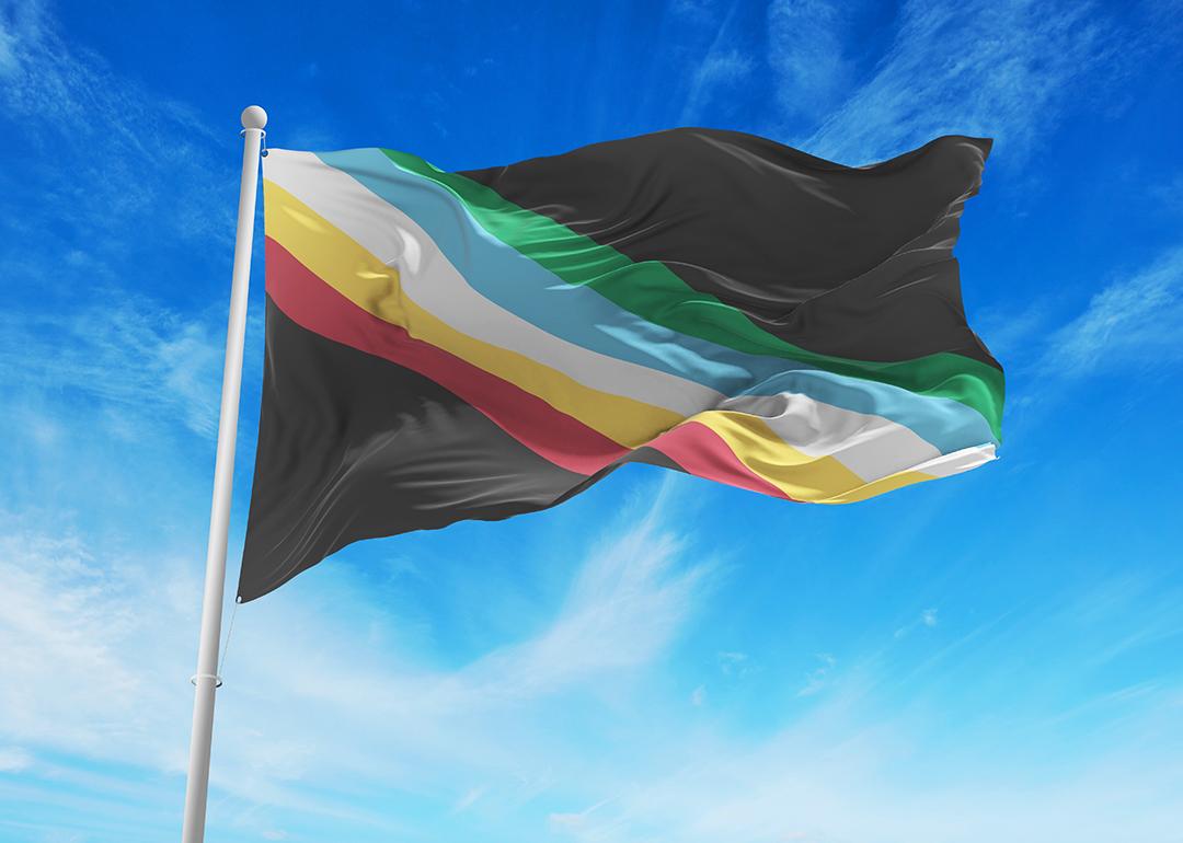 The official flag of Visually Safe Disability Pride.