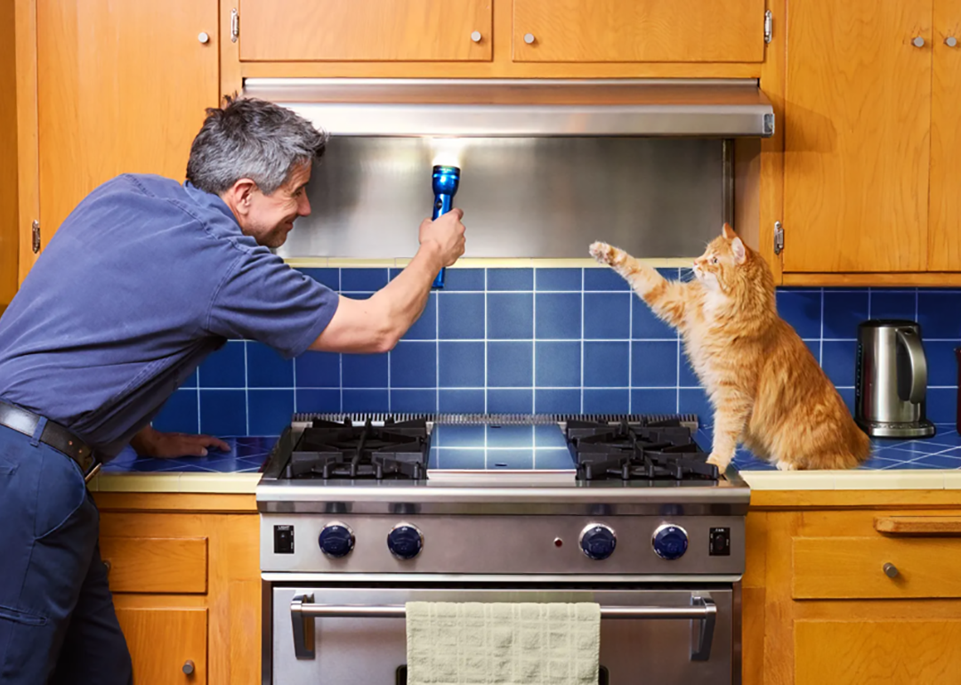 A home owner inspecting the kitchen range hood and a cat is beside the stove.