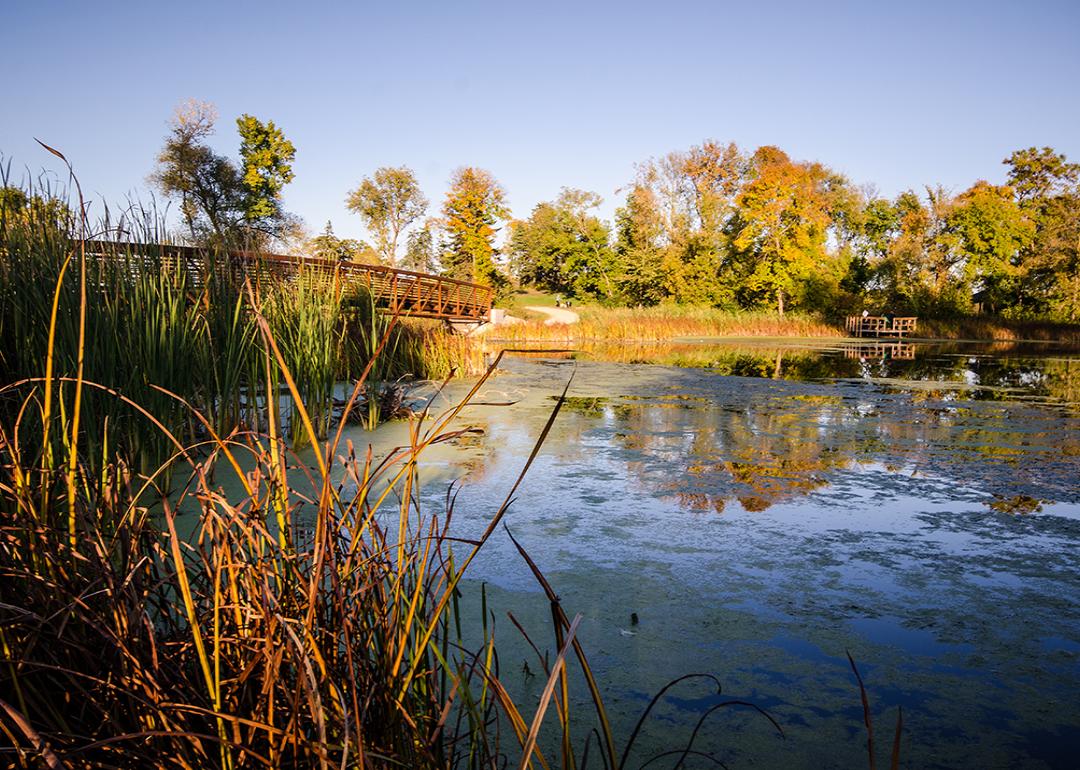 Medicine Lake Park in Plymouth, Minnesota during autumn.