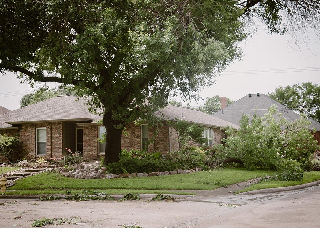 Corner house front yard curbside landscaping damaged by large branch fallen off from tall tree in strong wind heavy storm in Dallas, Texas.