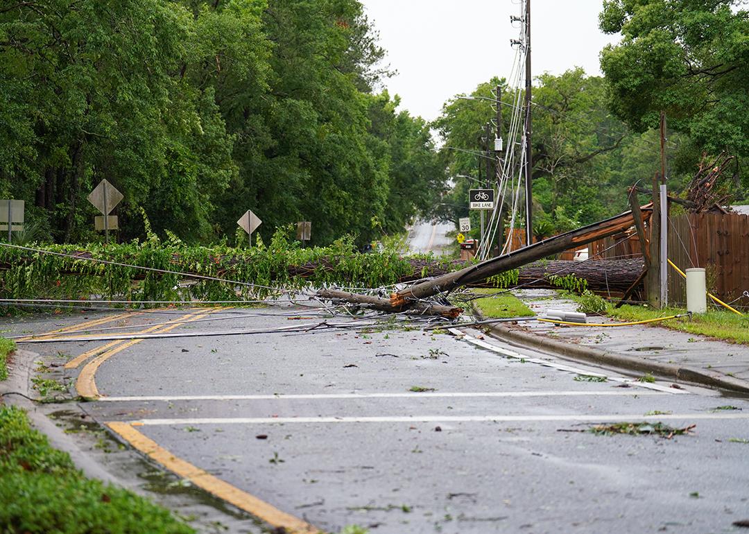 Toppled trees on a road in Tallahassee, Florida after multiple tornadoes and winds.