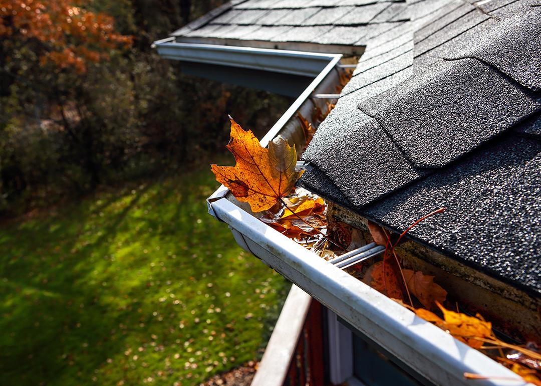 Autumn leaves settle in a rain gutter on a roof.