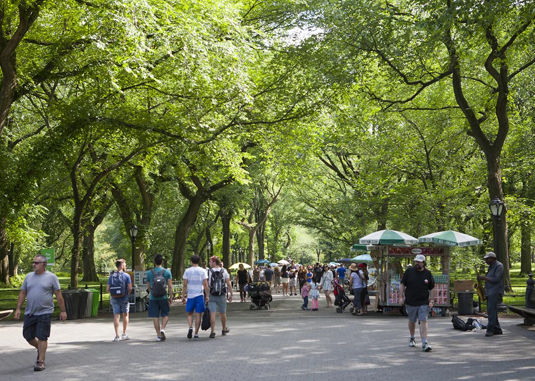 Pedestrians under trees of the Mall in Central Park, New York City.
