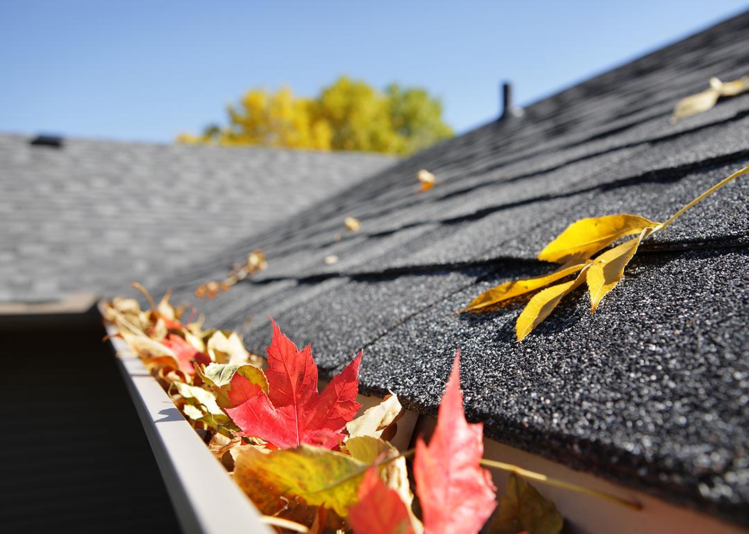 Autumn leaves accumulate in a house's rain gutter.