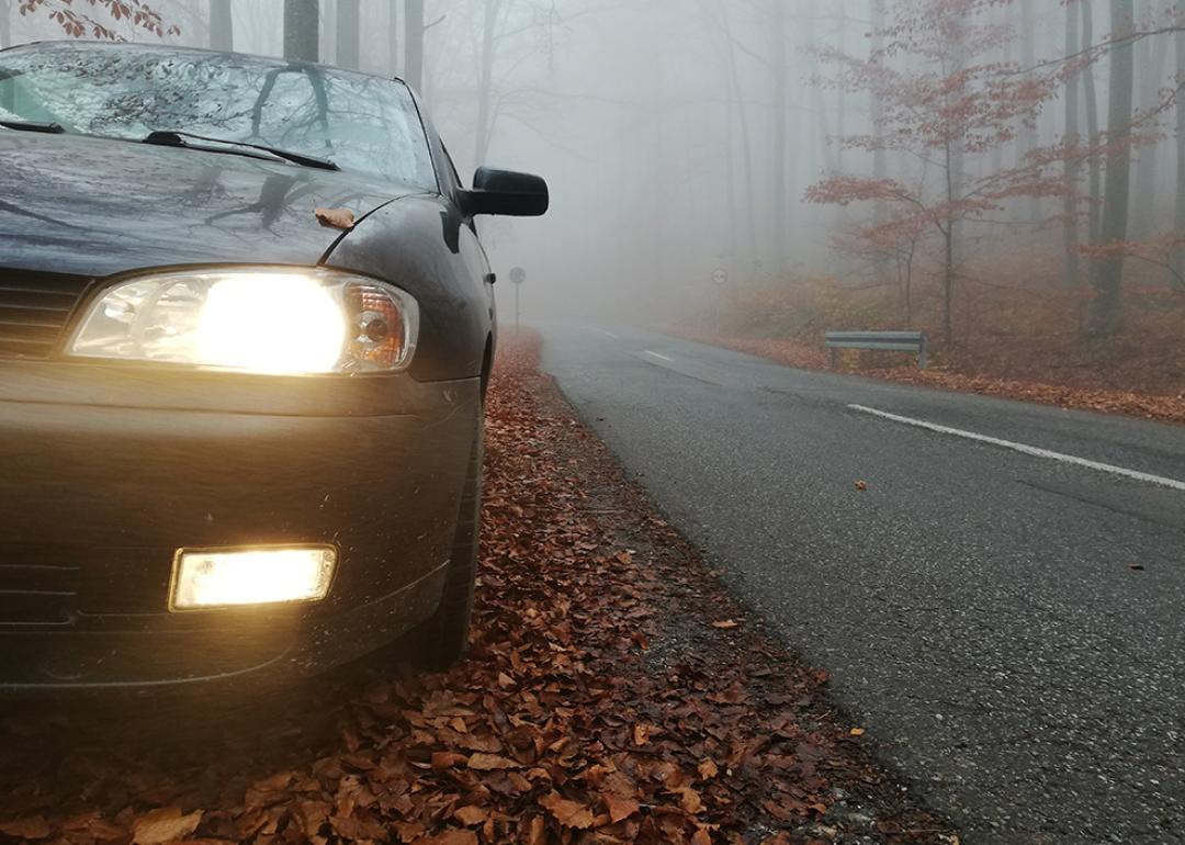 A close up on a car's headlights with fog light along a forest roadside during autumn.