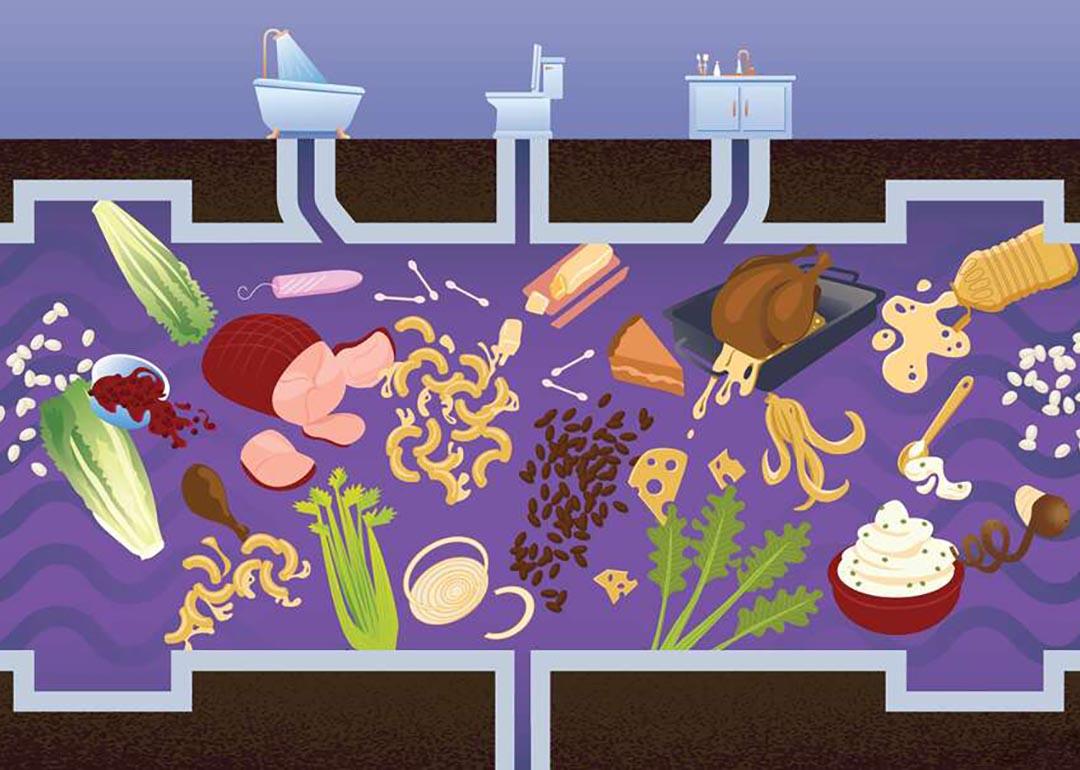 ILlustration depicting all the Thanksgiving detritus that can end up in drains.