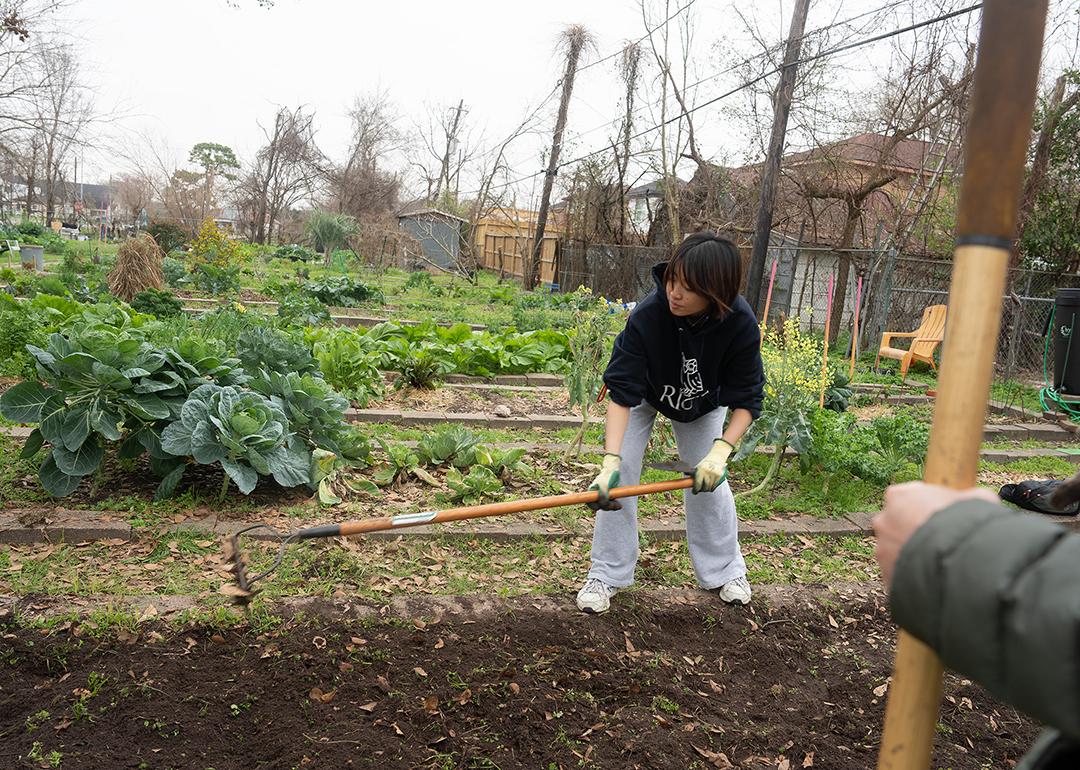 A Rice University student volunteers to prepare garden beds for spring planting at the Alabama Gardens in Houston, Texas.