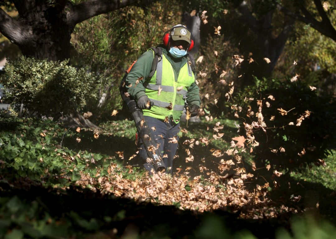 A man uses a gasoline-powered leaf blower to clear leaves and gardening debris.