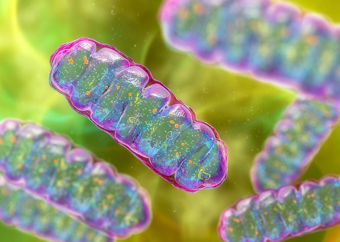 3D illustration of mitochondria.