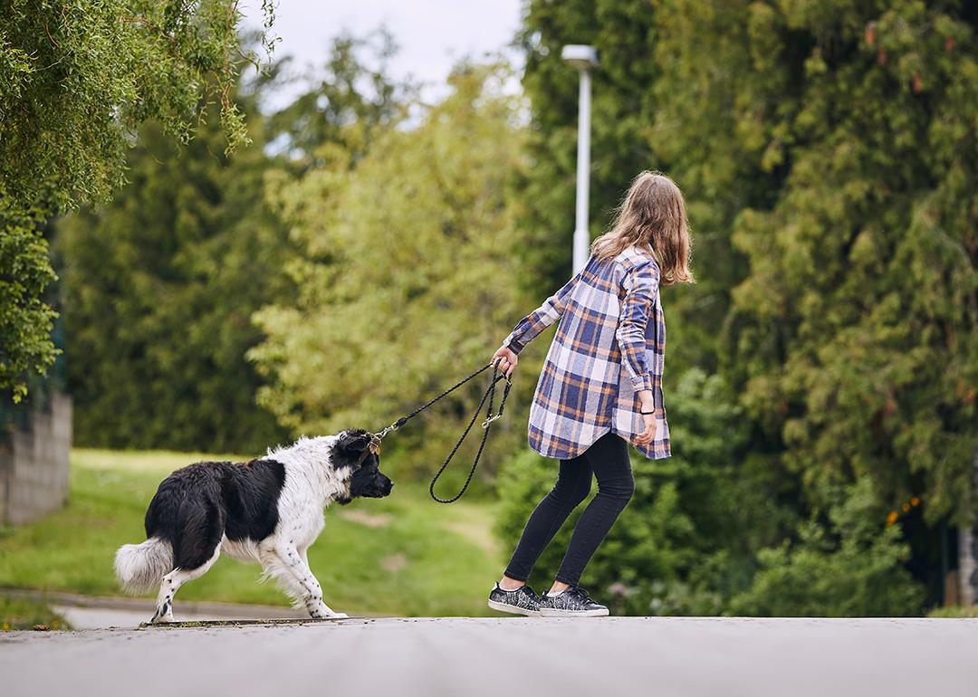 A teenage girl pulling her stubborn dog trying to go for a walk.
