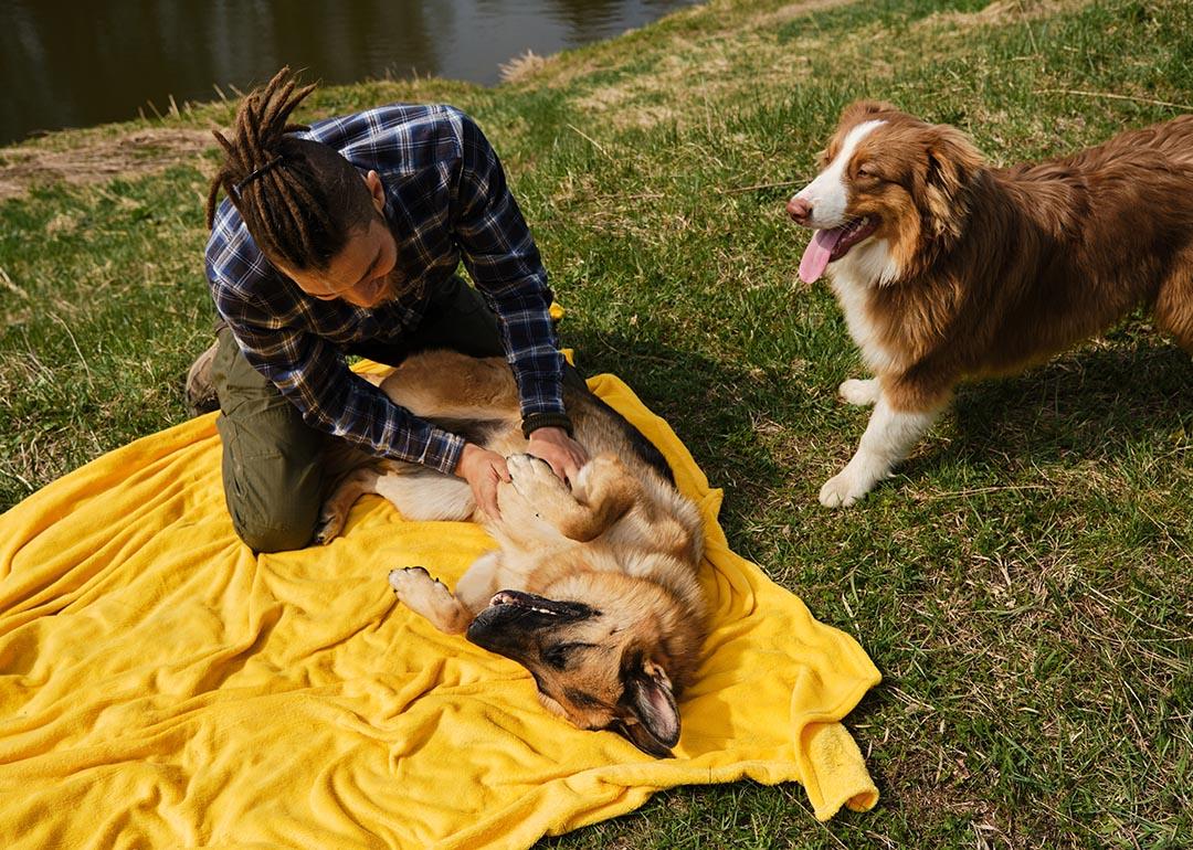 Young man resting and playing with his two dogs in the park.