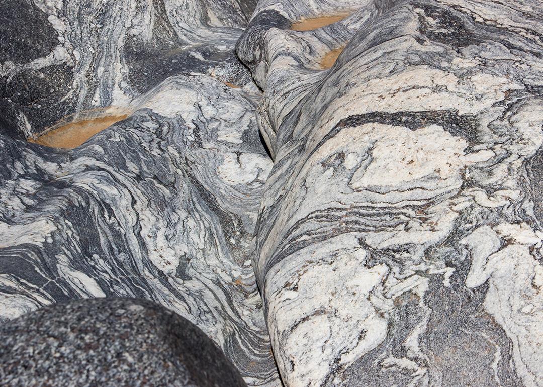 Close up of a migmatite boulder of the Natal-Namaqua metamorphic belt.