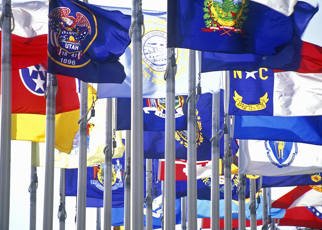 State flags of the United States of America.