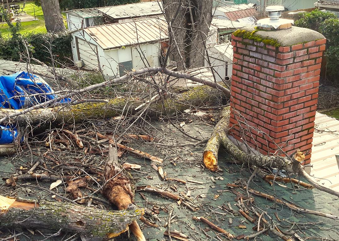 A damaged roof with fallen tree limbs and debris.