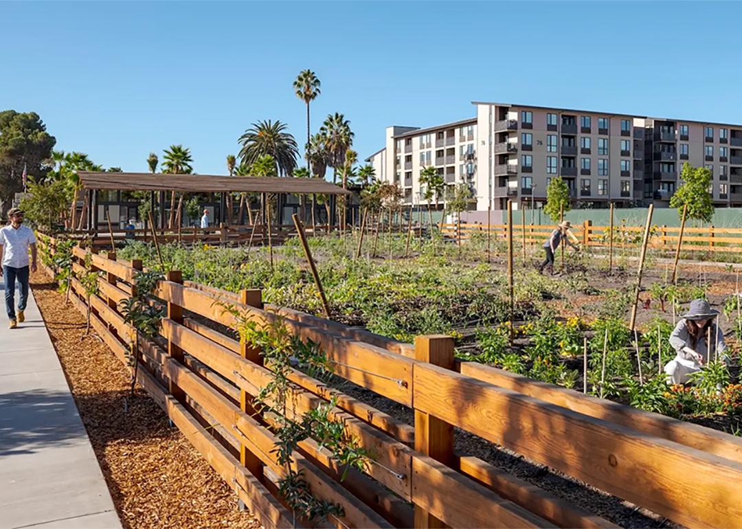 A neighborhood community where two people were seen urban farming.