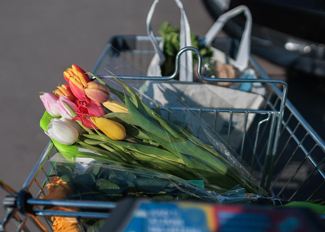 Fresh colorful tulips in a shopping cart.