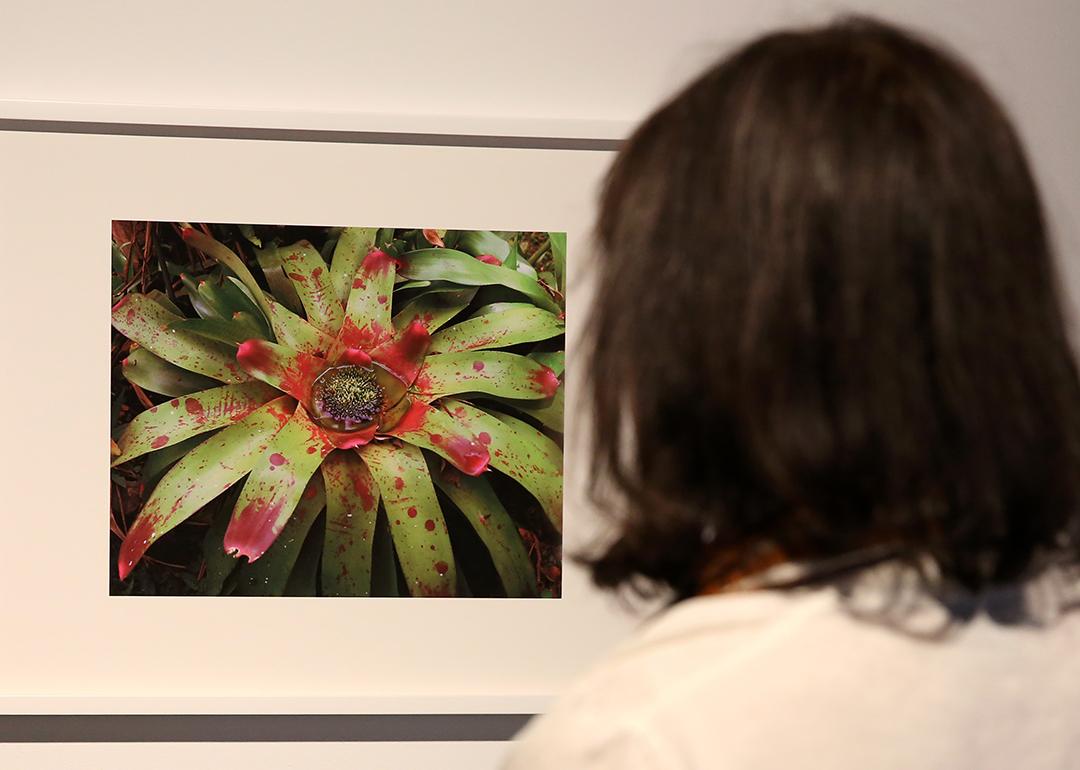 The work "Bounty 45" by Steve McQueen is seen during the 13th Berlin Biennale press opening at KW Institute for Contemporary Art, on June 12, 2025 in Berlin, Germany.