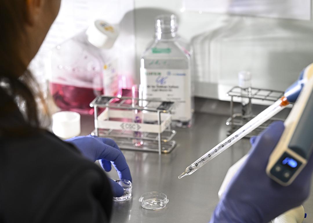 Culture dishes were prepared for egg collection after retrieval in a cell laboratory at Fertility Center Berlin, Germany.