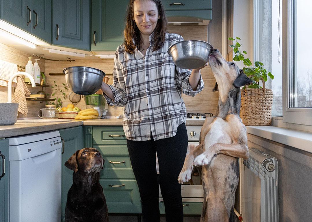A woman preparing to feed two dogs with food from steel bowls.