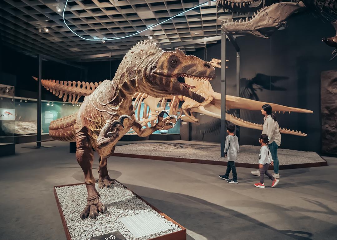 A family visiting an exhibition of dinosaur skeletons during the Jurassic and Cretaceous Period in Munster Natural History Museum in Germany.