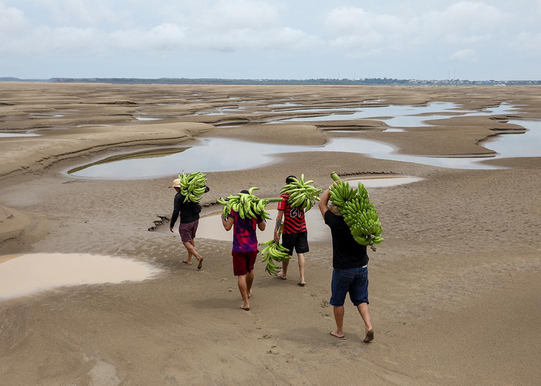Aerial view of riverbank dwellers carrying banana produce over the dry Solimoes riverbed in the Pesqueiro community in Manacapuru, Amazonas state in northern Brazil.