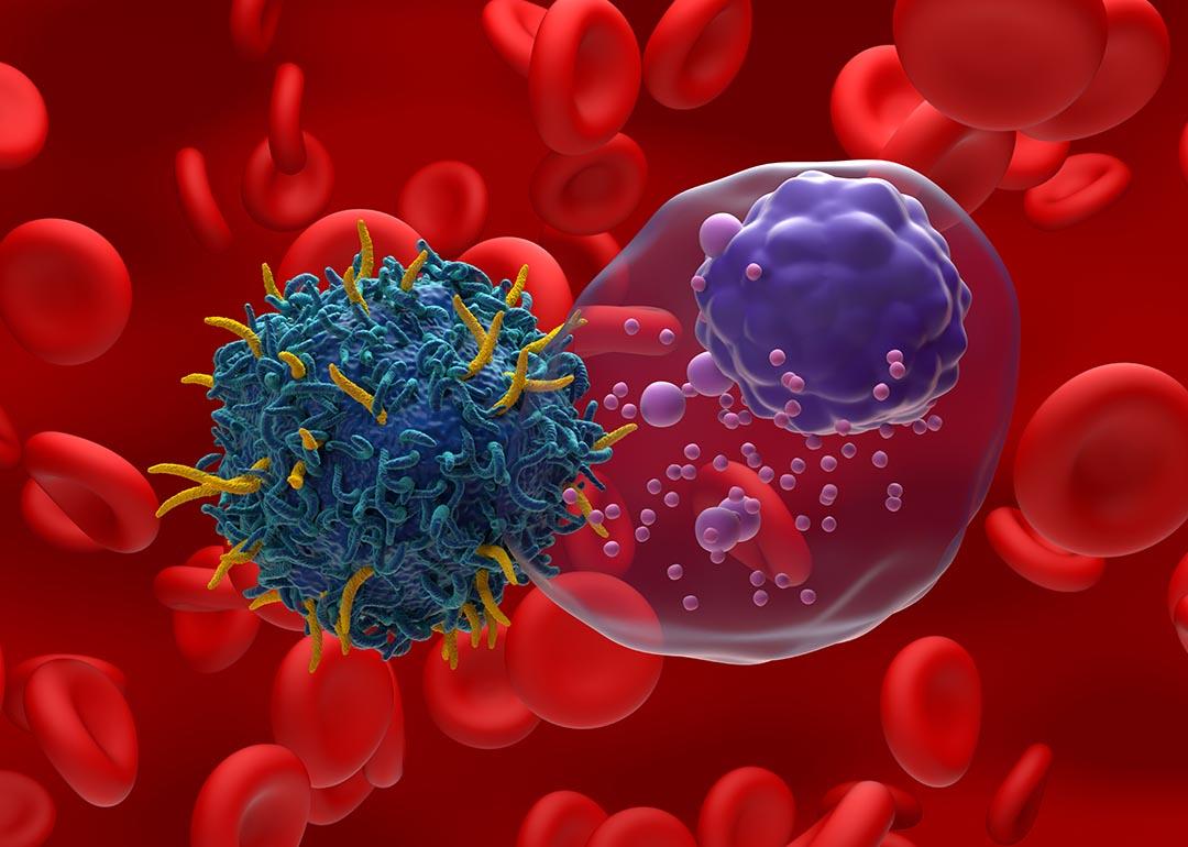 A 3D illustration of an antigen receptor (CAR) T-cell targeting multiple myeloma (MM) cancer cells.