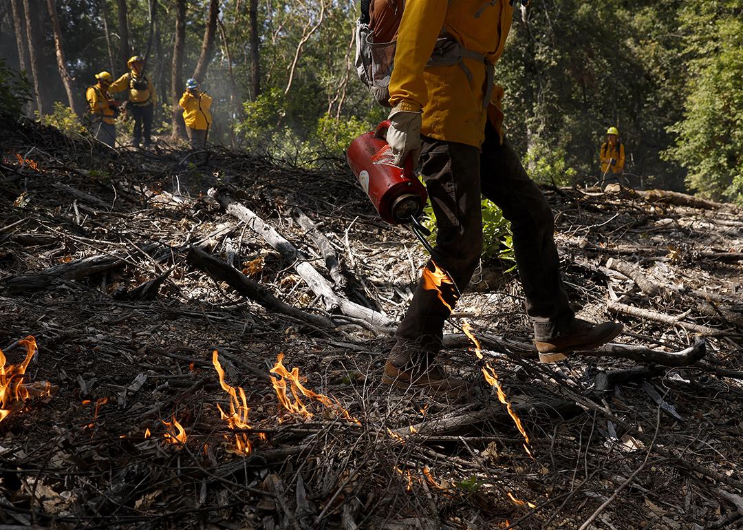 A Prescribed Burn Association (PBA) member uses a drip torch to ignite a controlled burn at the Pacific Union College Forest on May 15, 2025 in Angwin, California..