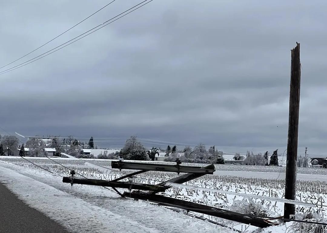 An ice storm in northern Michigan in March 2025 brought down trees and power lines, causing widespread damage and outages.