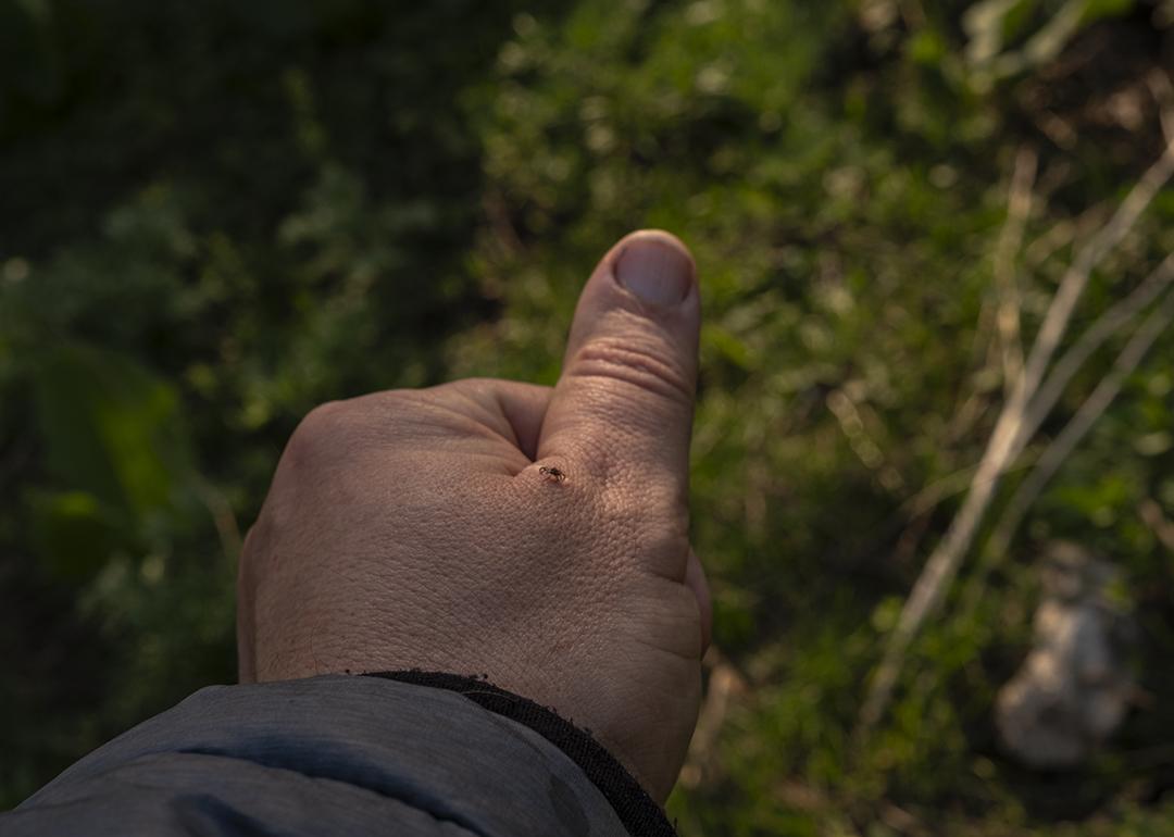 A detailed macro photograph of a dangerous tick (Ixodes) crawling on human skin, specifically on a hand.