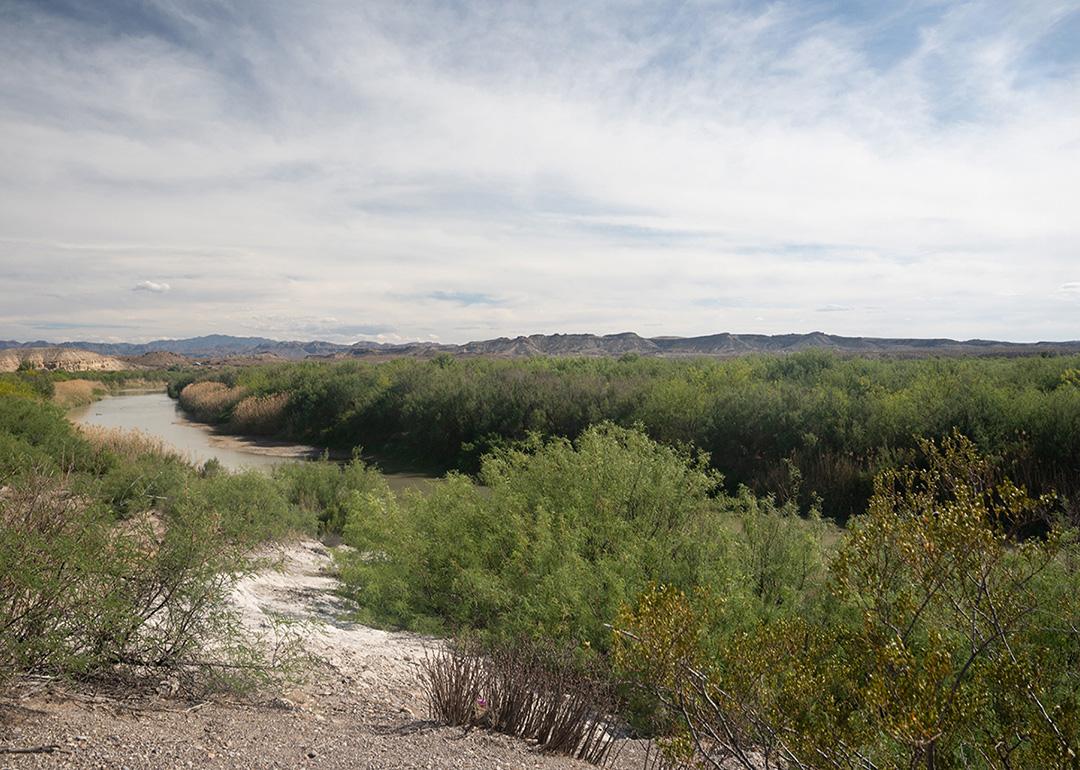 The banks of the Rio Grande near Presidio, Texas.