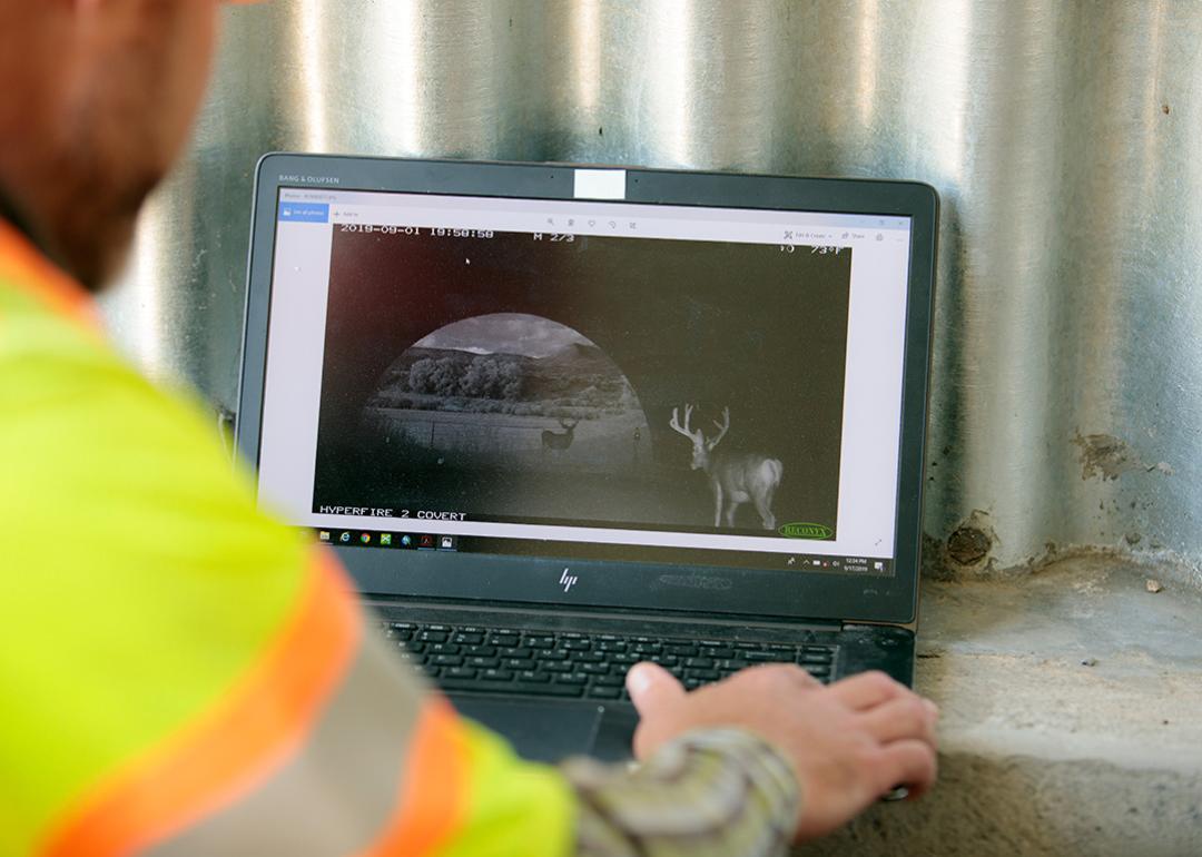 Photographer Mark Lawler from the Colorado Department of Transportation looking at photos that came from a remote camera, which captured wildlife in Buena Vista, Colorado, USA.