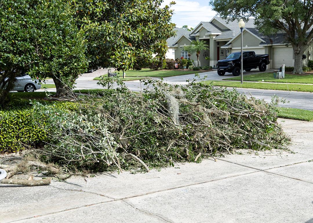 Trimmings of trees on the side of a residential street for waste pickup. 