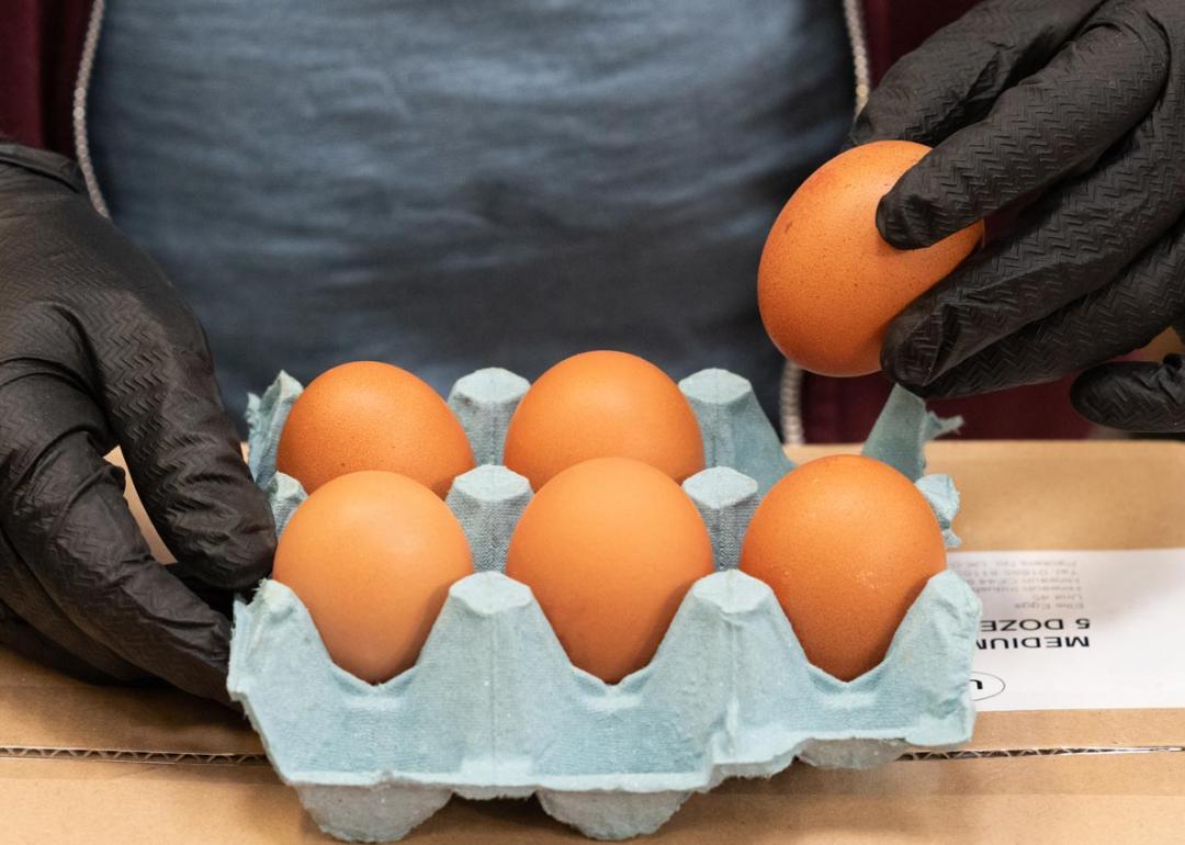 Gloved hands inspecting a half dozen eggs