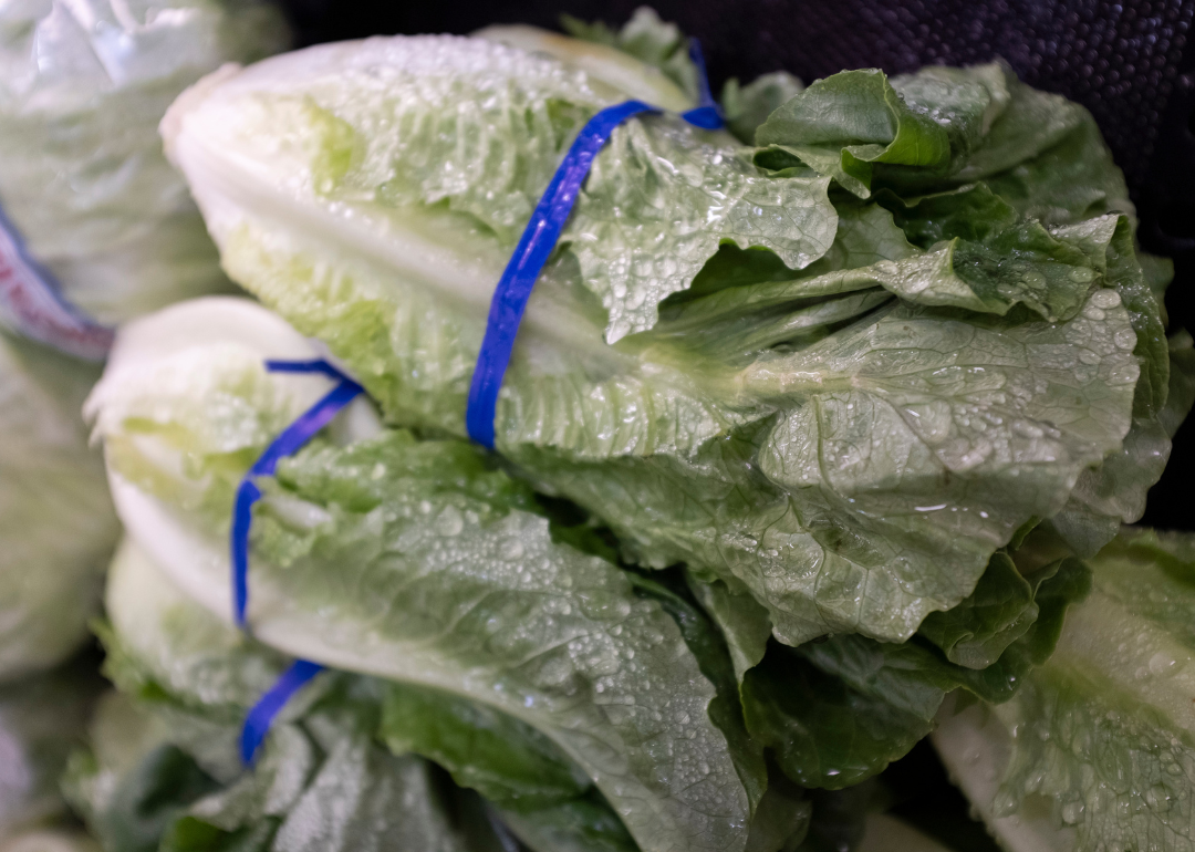 A close up of romaine lettuce.