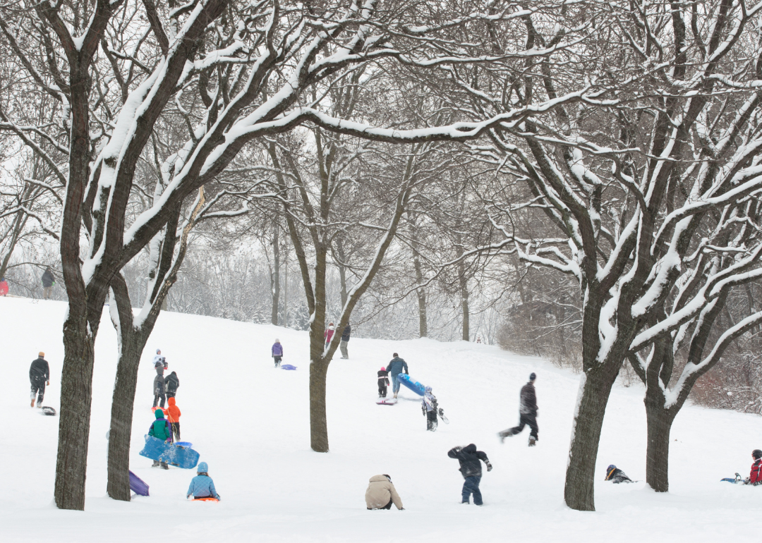 People of all ages sledding and playing on a snowy hill.