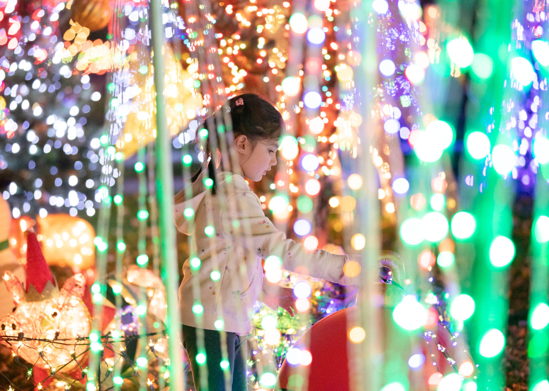 A child playing in a display of Christmas lights.