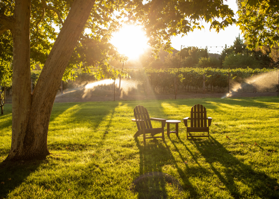 Vineyard lawn chairs in green grass by tree
