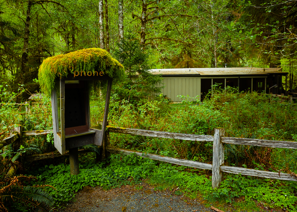 Abandoned payphone in Olympic National Park.