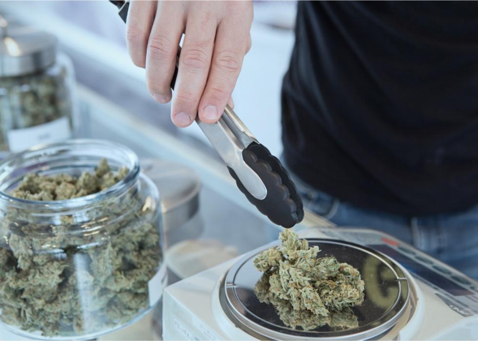 Hand places cannabis buds on scale at dispensary.