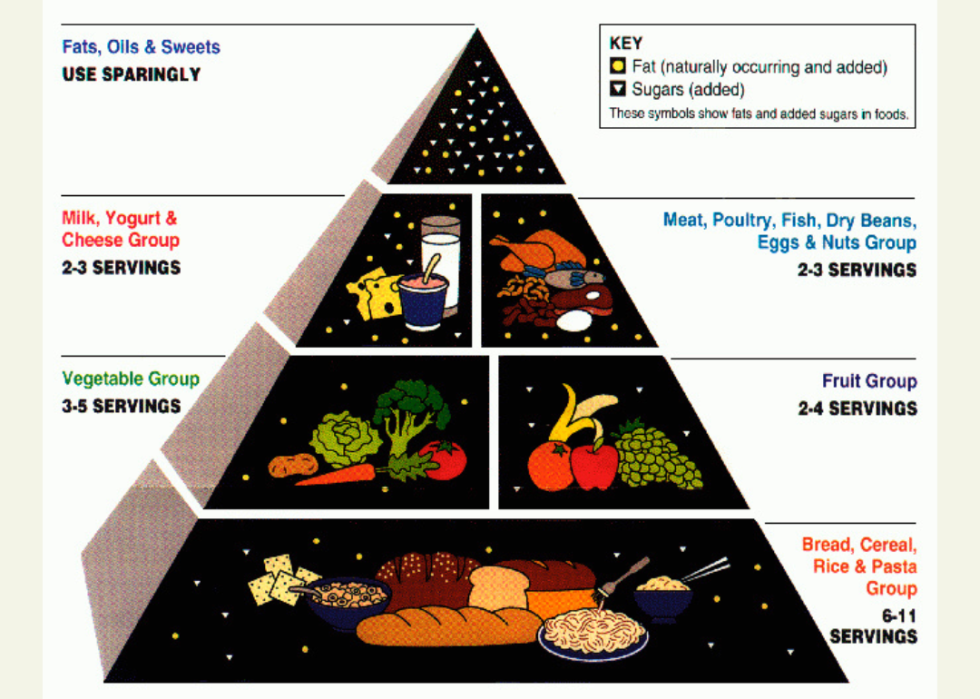 USDA Food Guide Pyramid.