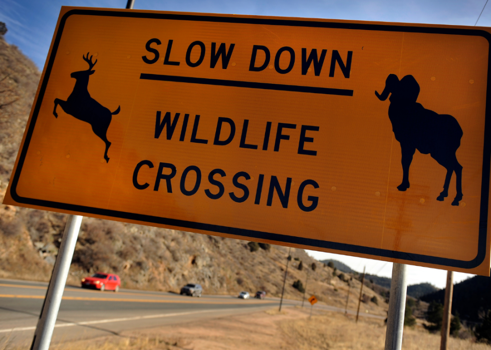 Caution wildlife crossing sign by highway