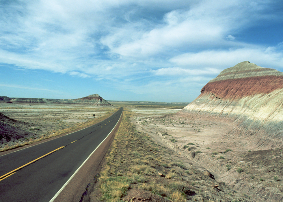 Road through Petrified Forest National Park.