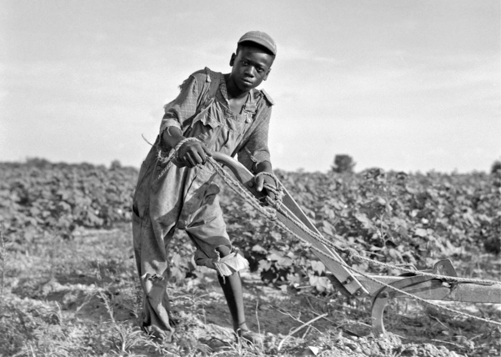 how-did-the-great-depression-affect-farmers-and-sharecroppers-farmer