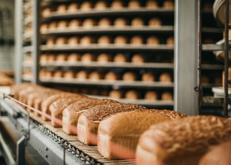 Bread on conveyor belt