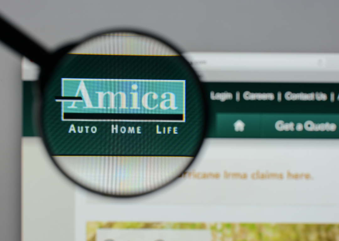 Close up Amica logo.