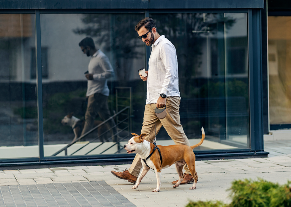 Man takes his dog for a walk on city street.