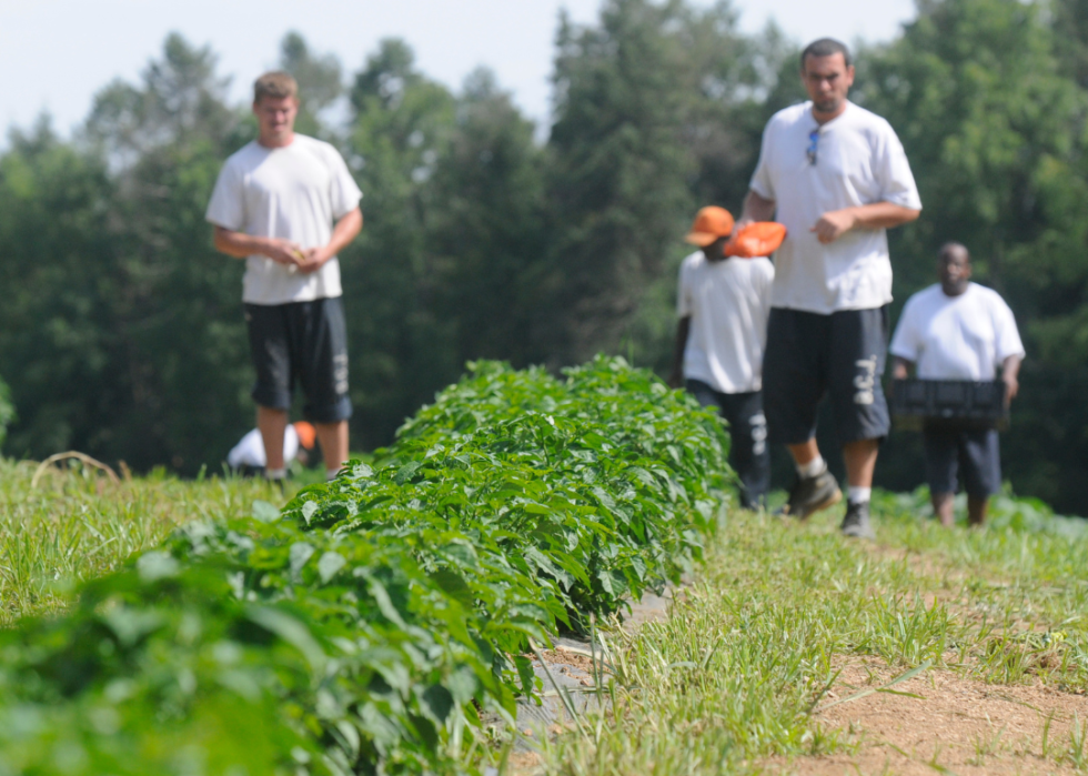 Inmates tend to garden in Berks County Jail