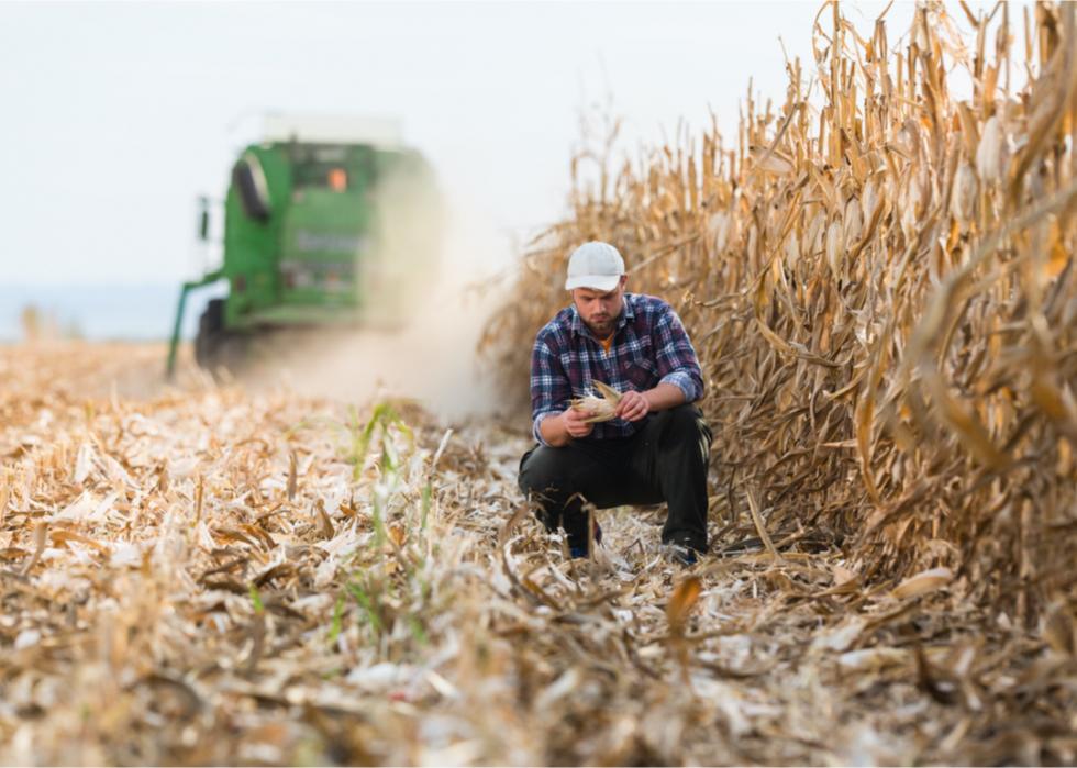 50-fascinating-facts-about-farming-in-america-stacker